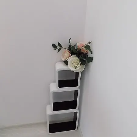 Apartment Silvi *