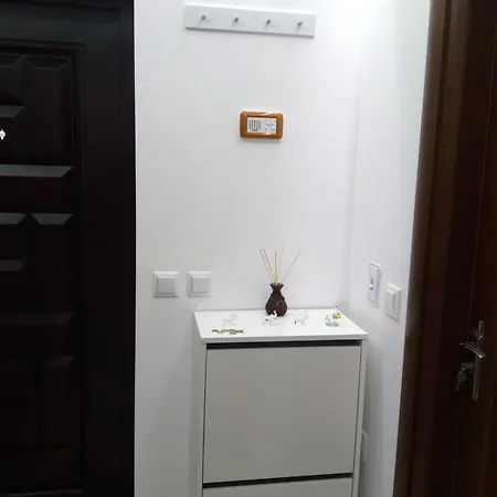 Silvi * ヴァルナ